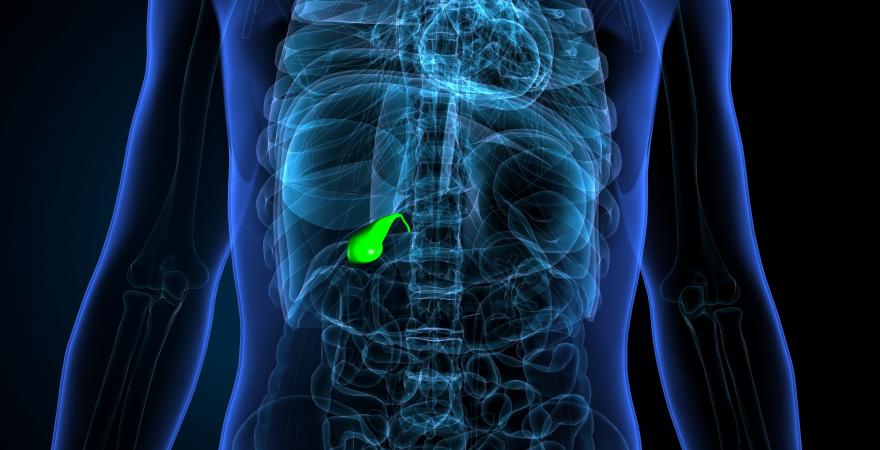 main of Many Situations Can Affect The Gallbladder