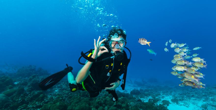 main of Scuba Diving Opens Up an Entire New World To See 