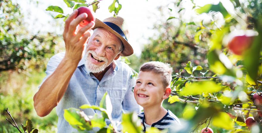 main of Make a Fun Day of Apple Picking With the Whole Family